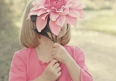 看雪个人博客模板